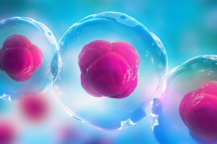 regenerative medicine